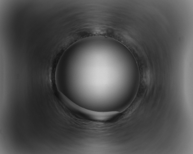 X0000088620512200705251244