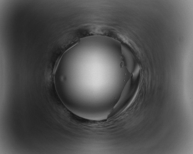 X0000088620513200705251244