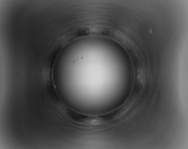 X0000088620514200705251244
