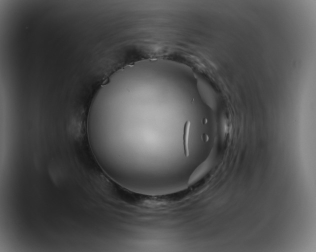 X0000088620515200705251244