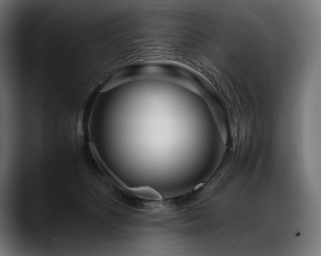 X0000088620516200705251244
