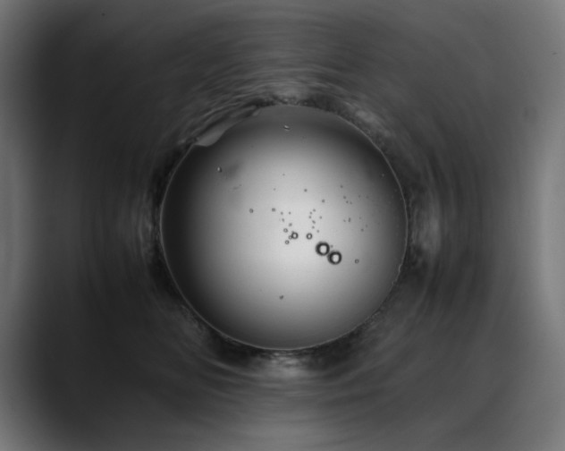 X0000088620518200705251244