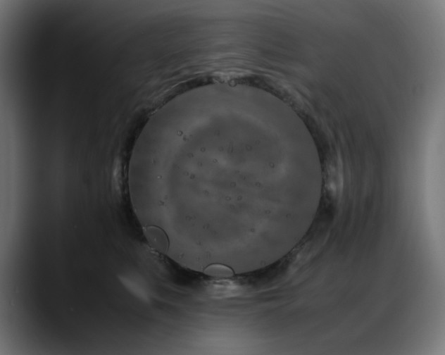 X0000088620519200705251244