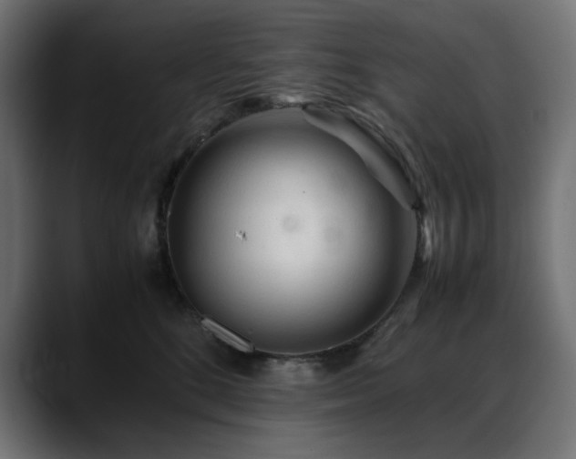 X0000088620520200705251244