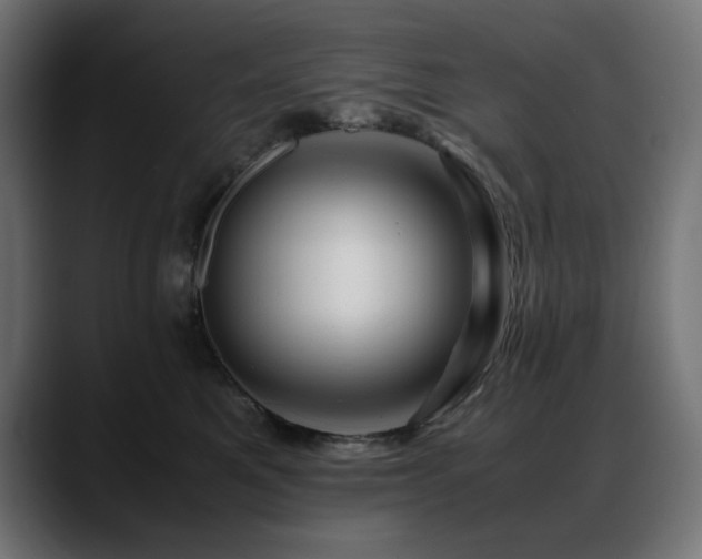 X0000088620521200705251244