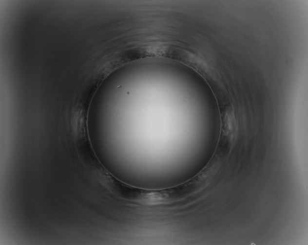 X0000088620522200705251244