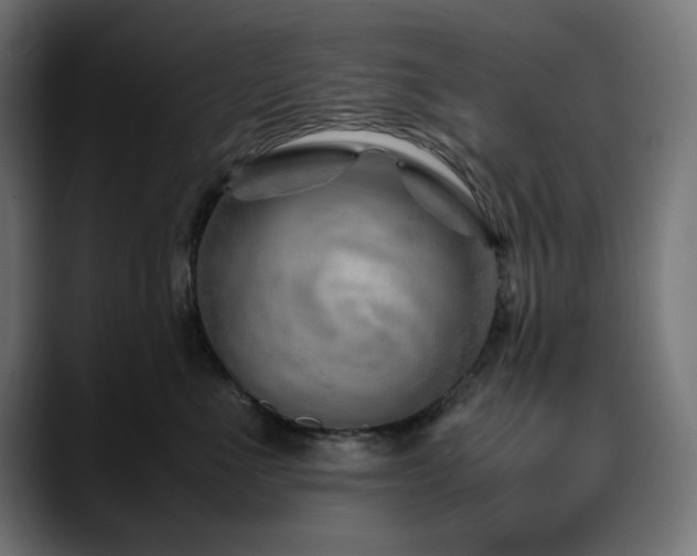 X0000088620523200705251244