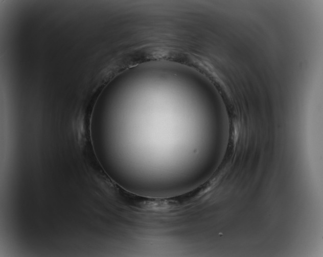 X0000088620524200705251244