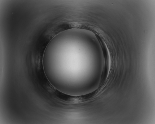X0000088620525200705251244