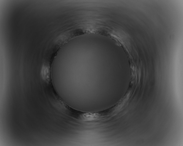 X0000088620526200705251244