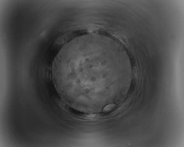 X0000088620527200705251244
