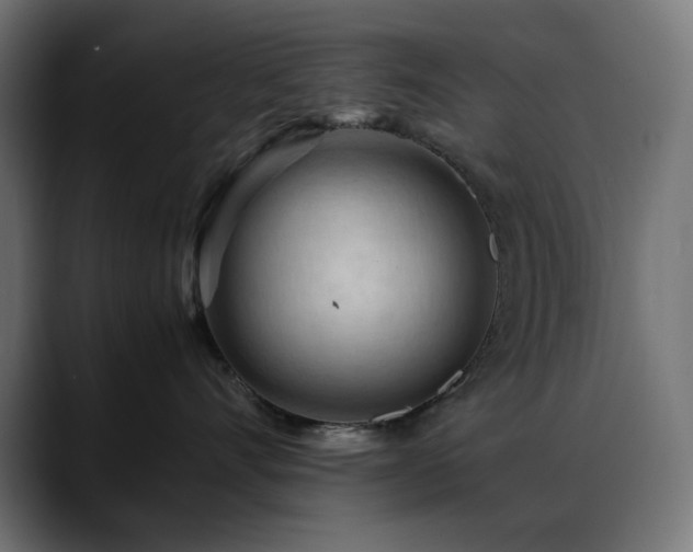 X0000088620528200705251243