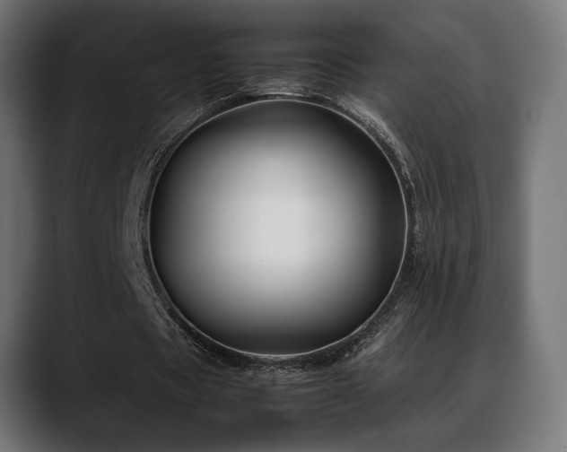 X0000088620529200705251243