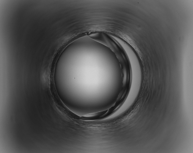 X0000088620530200705251243