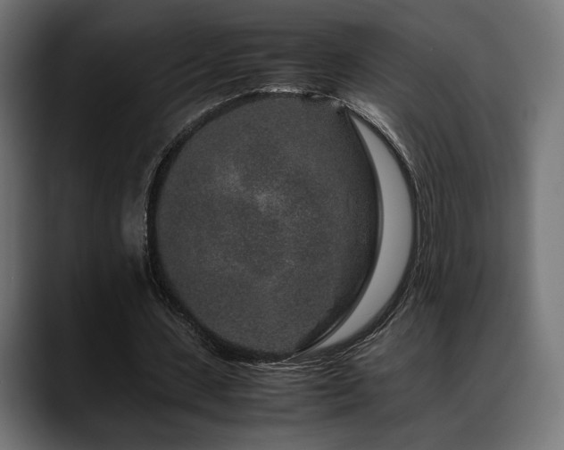 X0000088620531200705251243