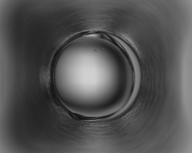 X0000088620532200705251243