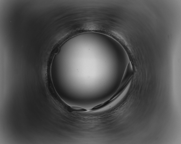 X0000088620535200705251243