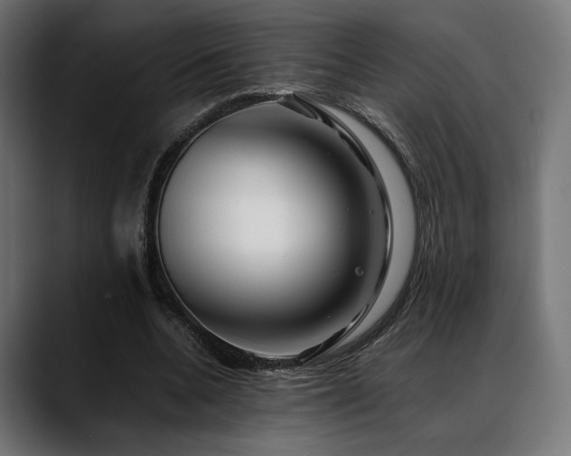 X0000088620536200705251243