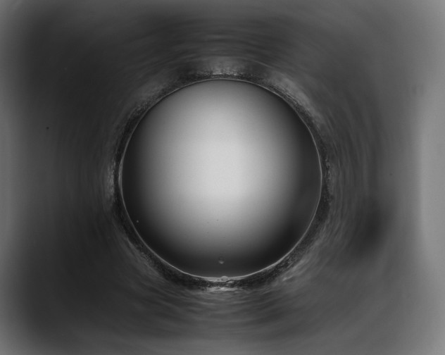 X0000088620537200705251243