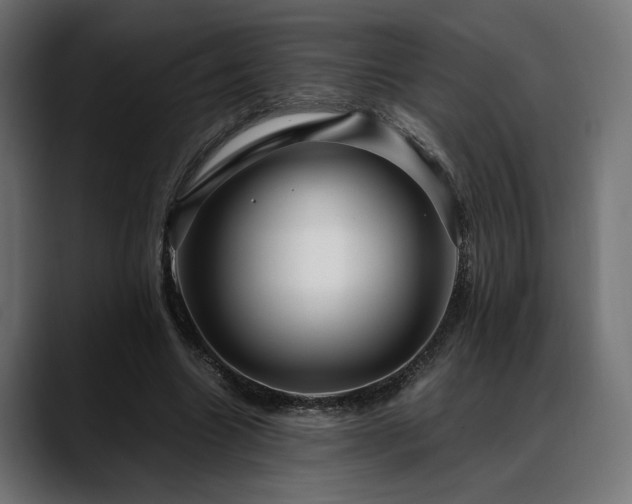 X0000088620538200705251243