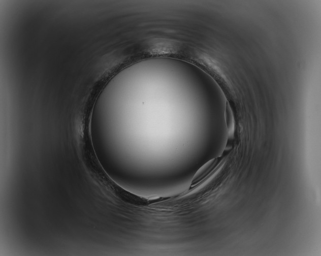 X0000088620539200705251243