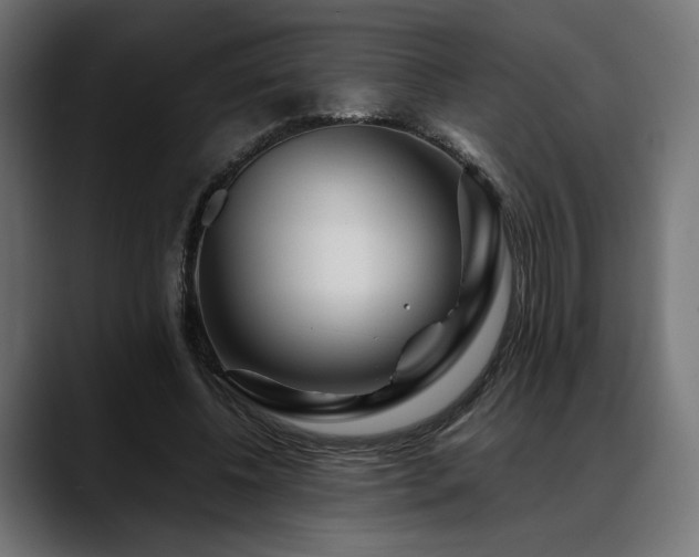 X0000088620540200705251243