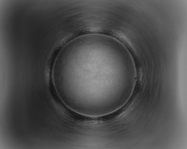 X0000088620542200705251243