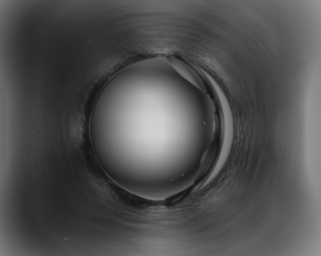 X0000088620544200705251243