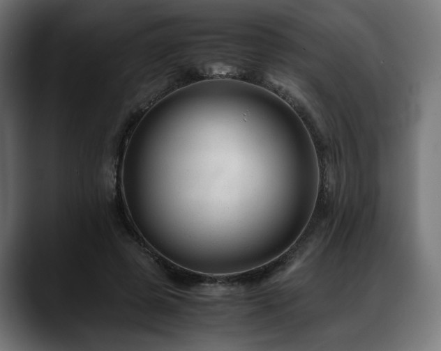 X0000088620545200705251243