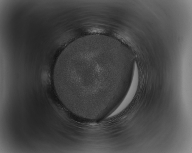 X0000088620547200705251243
