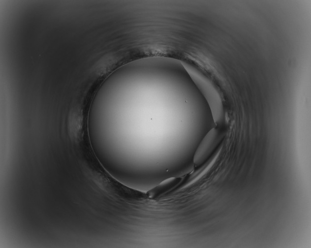 X0000088620548200705251243
