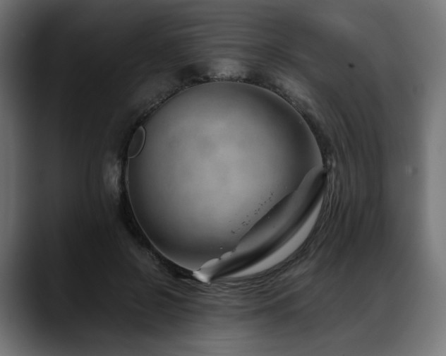 X0000088620550200705251243
