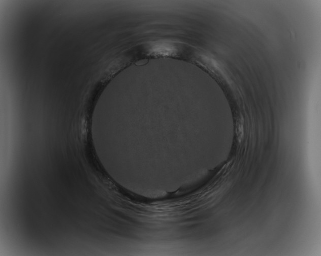 X0000088620551200705251243