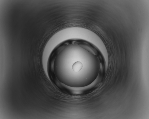 X0000088620552200705251243