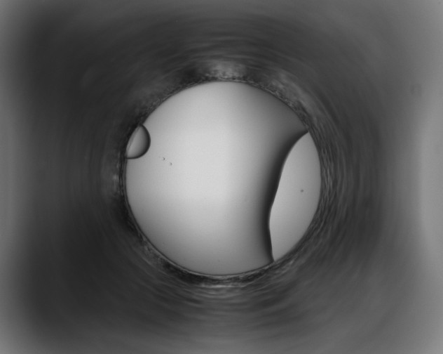 X0000088620553200705251243