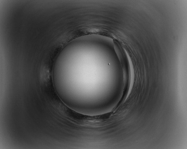 X0000088620555200705251243