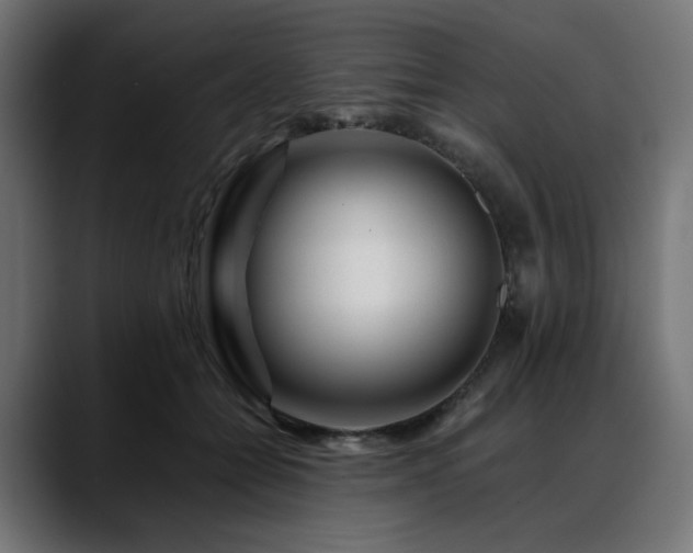 X0000088620558200705251243