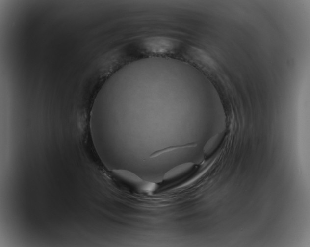 X0000088620559200705251243