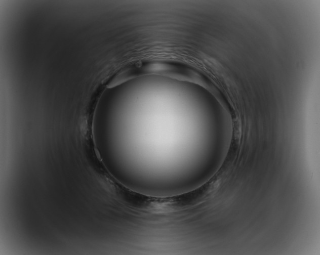 X0000088620560200705251243