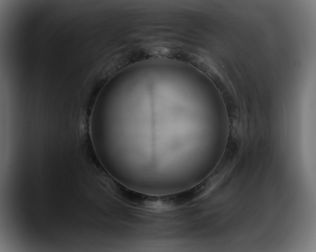 X0000088620561200705251243