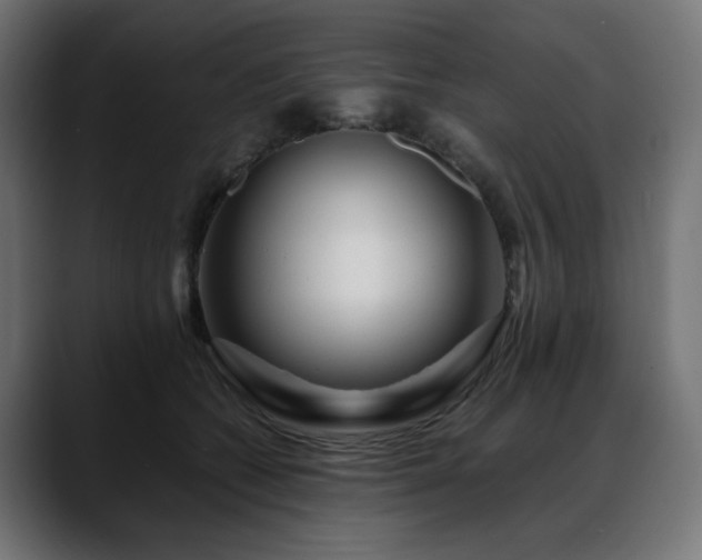 X0000088620562200705251243
