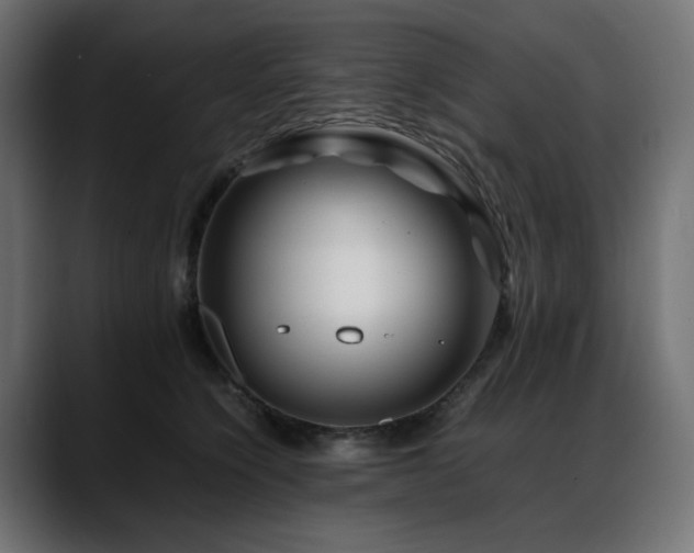 X0000088620564200705251243