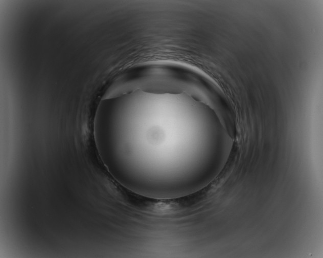X0000088620566200705251243