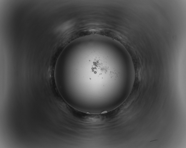 X0000088620567200705251243