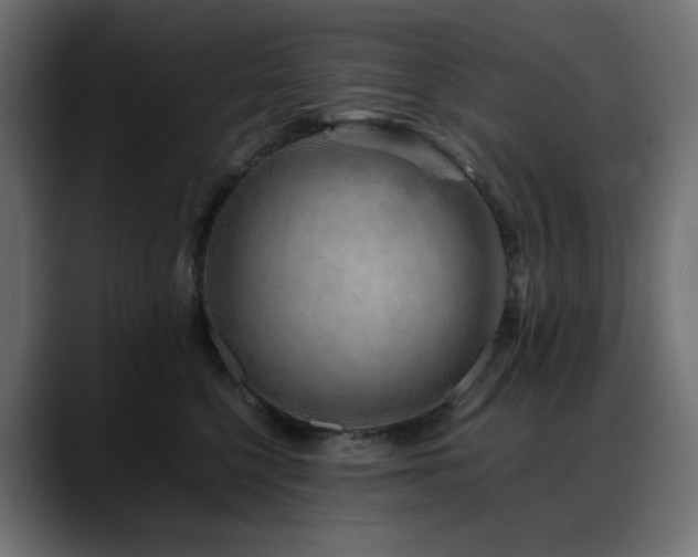 X0000088620568200705251243