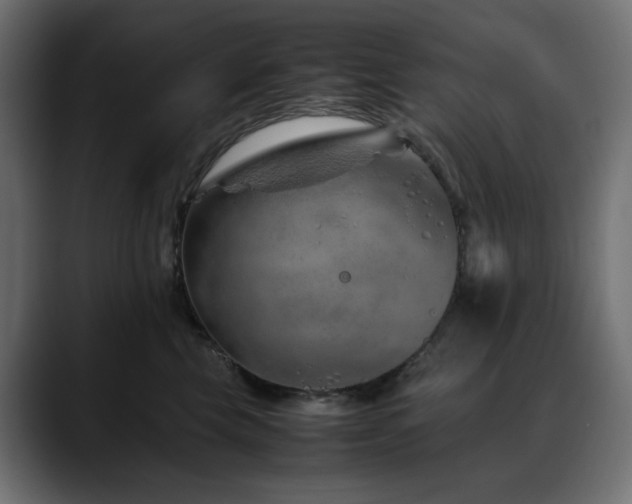 X0000088620569200705251243