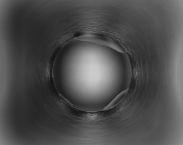 X0000088620570200705251243