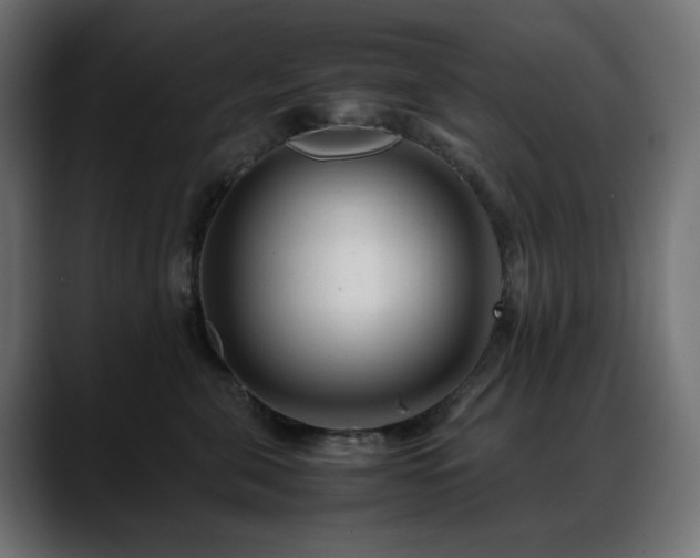 X0000088620571200705251243
