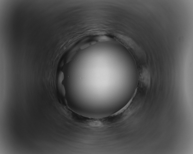 X0000088620572200705251243