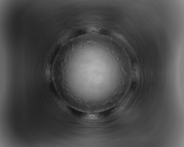X0000088620573200705251243